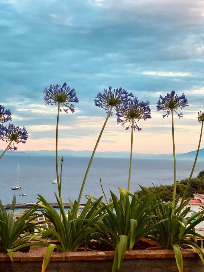 B&B L'Agapanto Capri Kültér fotó