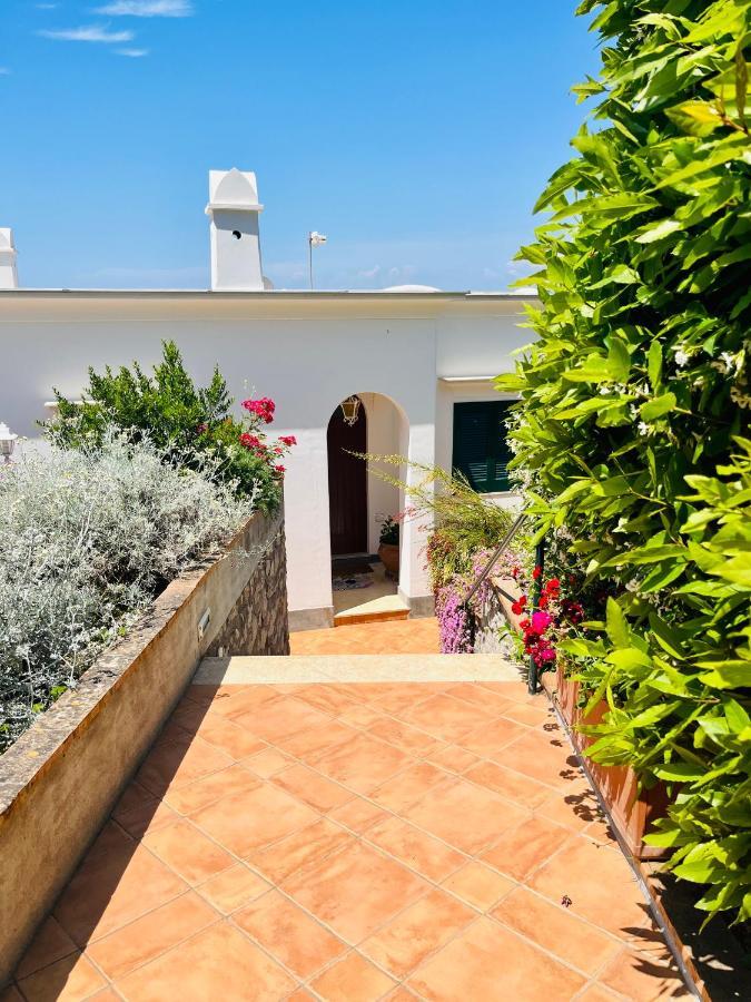 B&B L'Agapanto Capri Kültér fotó