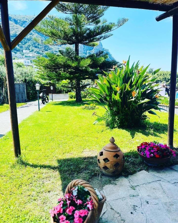 B&B L'Agapanto Capri Kültér fotó