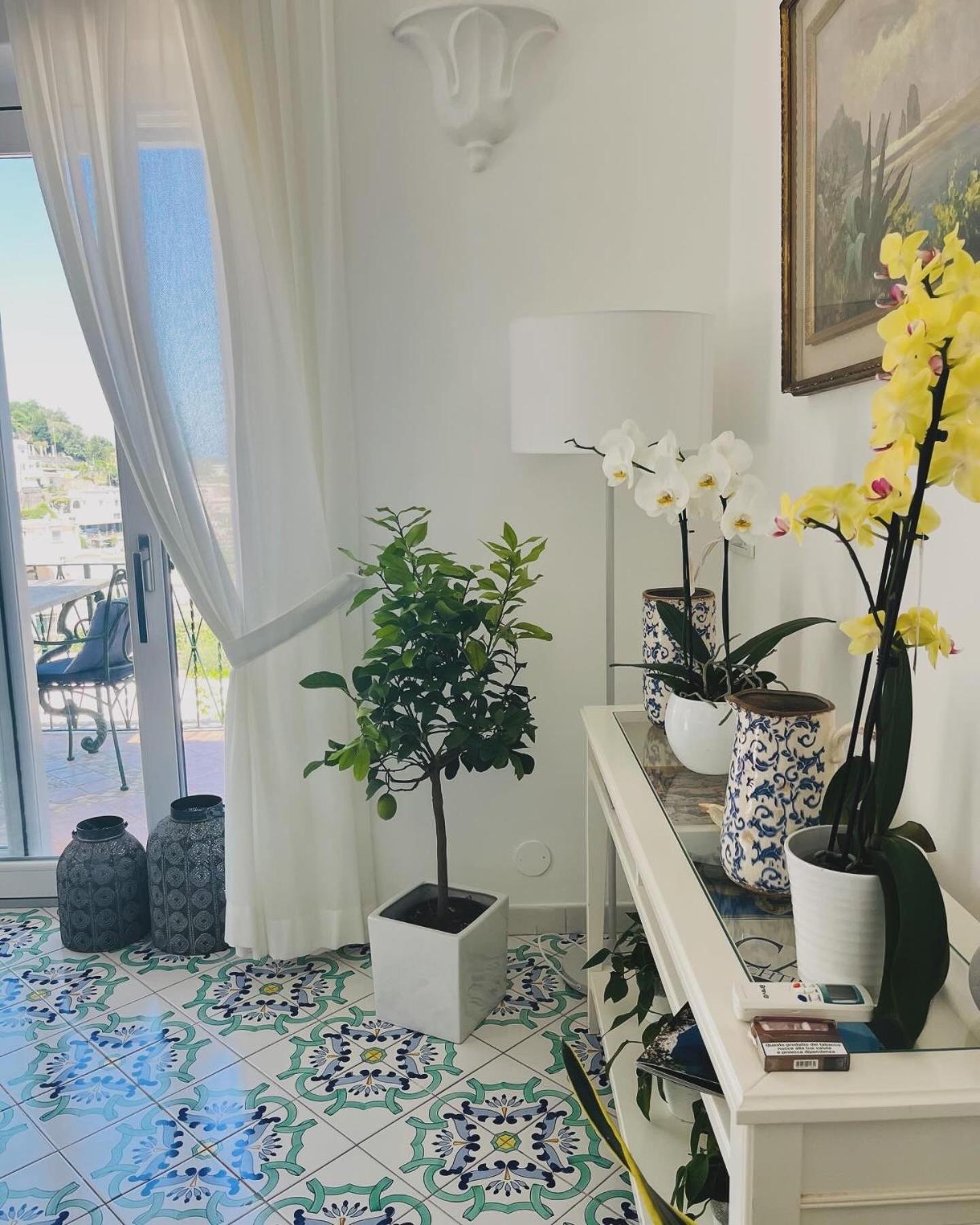 B&B L'Agapanto Capri Kültér fotó